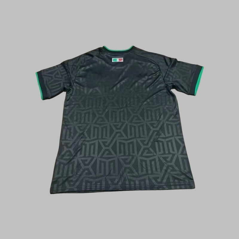 Mexico Training 25/26