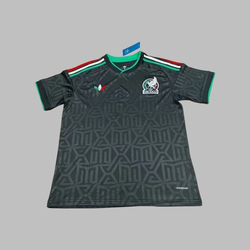 Mexico Training 25/26