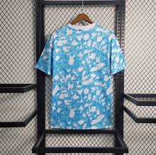 Ajax 23/24 Training Kit